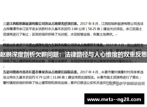 赵鹏深度剖析欠薪问题：法律路径与人心维度的双重反思
