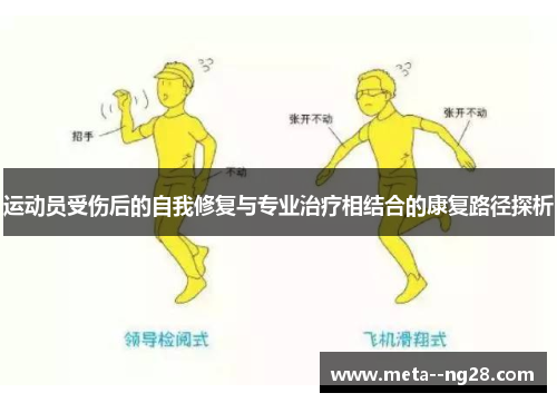 运动员受伤后的自我修复与专业治疗相结合的康复路径探析