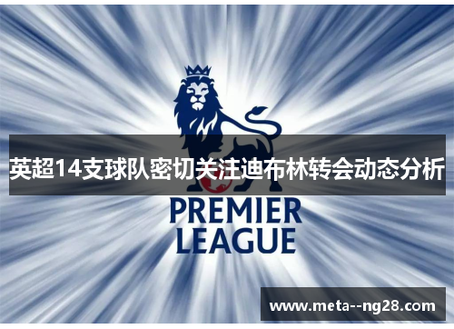 英超14支球队密切关注迪布林转会动态分析