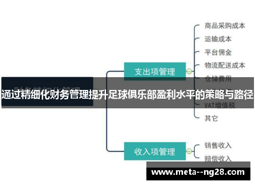 通过精细化财务管理提升足球俱乐部盈利水平的策略与路径