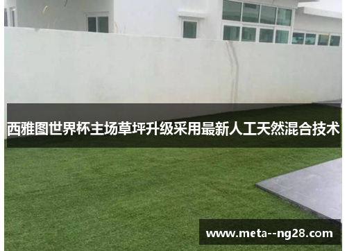 西雅图世界杯主场草坪升级采用最新人工天然混合技术