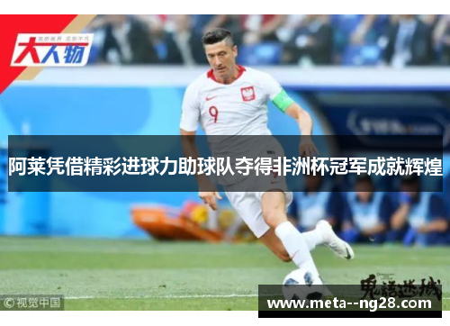 阿莱凭借精彩进球力助球队夺得非洲杯冠军成就辉煌